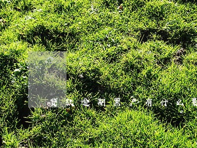 贷款逾期黑户有什么影响 贷款逾期黑户有什么影响