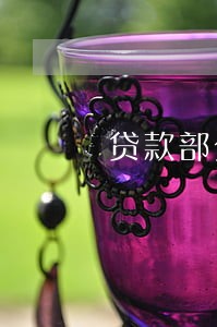 贷款部分提前还款只归还本金 贷款部分提前还款只归还本金