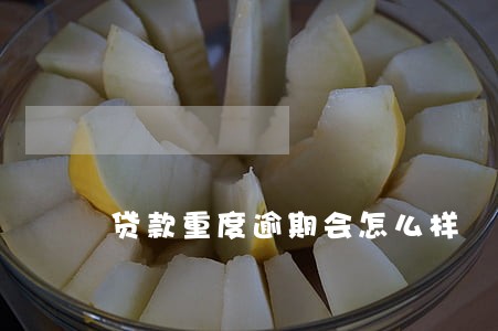 贷款重度逾期会怎么样 贷款重度逾期会怎么样