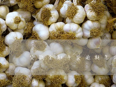 贷款金融车贷逾期怎么办 贷款金融车贷逾期怎么办