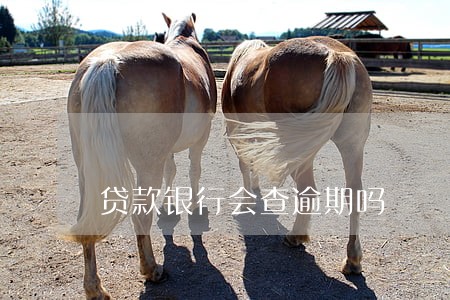 贷款银行会查逾期吗 贷款银行会查逾期吗