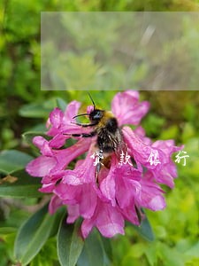 贷款银行没催收逾期失职 贷款银行没催收逾期失职