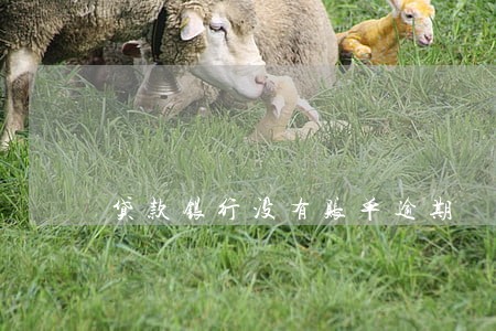 贷款银行没有账单逾期 贷款银行没有账单逾期