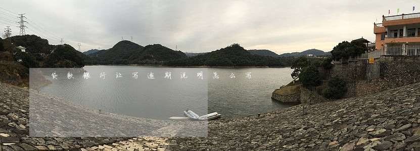 贷款银行让写逾期说明怎么写 贷款银行让写逾期说明怎么写