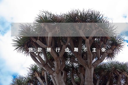 贷款银行逾期不主张