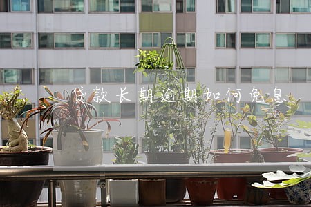 贷款长期逾期如何免息 贷款长期逾期如何免息