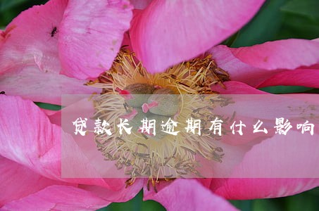 贷款长期逾期有什么影响 贷款长期逾期有什么影响