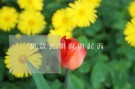 贷款长期逾期起诉 贷款长期逾期起诉