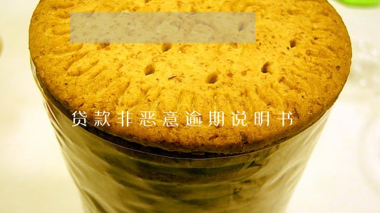贷款非恶意逾期说明书 贷款非恶意逾期说明书