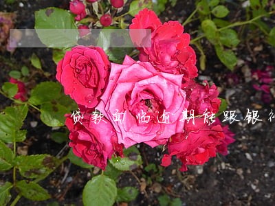 贷款面临逾期能跟银行沟通吗 贷款面临逾期能跟银行沟通吗