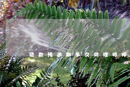 贷款预逾期多久处理抵押品 贷款预逾期多久处理抵押品