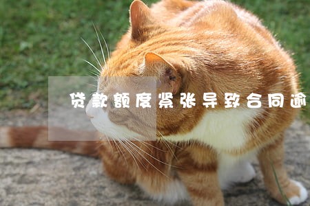 贷款额度紧张导致合同逾期 贷款额度紧张导致合同逾期