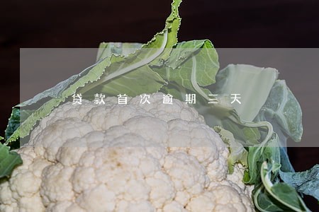 贷款首次逾期三天 贷款首次逾期三天