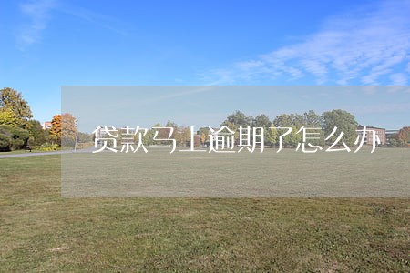 贷款马上逾期了怎么办 贷款马上逾期了怎么办