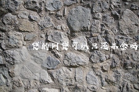 贷的网贷可以只还本金吗 贷的网贷可以只还本金吗