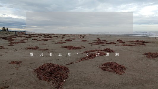 贷记卡五年10次逾期 贷记卡五年10次逾期