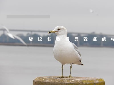 贷记卡免费导致征信90天逾期 贷记卡免费导致征信90天逾期