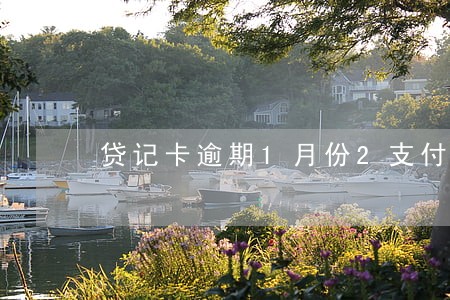 贷记卡逾期1月份2支付 贷记卡逾期1月份2支付