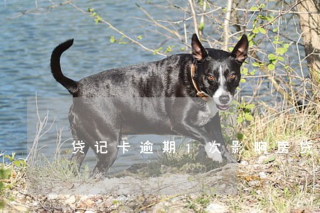 贷记卡逾期1次影响房贷吗 贷记卡逾期1次影响房贷吗