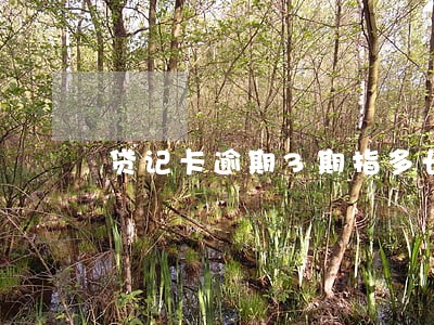 贷记卡逾期3期指多长时间 贷记卡逾期3期指多长时间