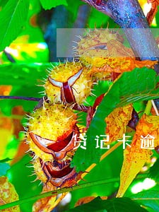 贷记卡逾期5年了怎么还不消除