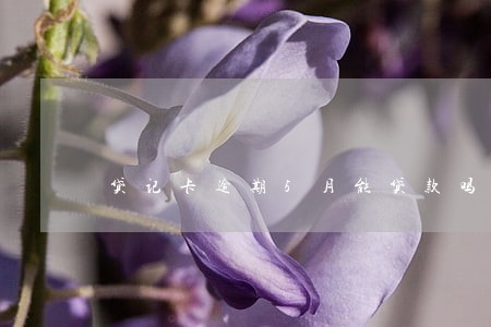 贷记卡逾期5月能贷款吗 贷记卡逾期5月能贷款吗