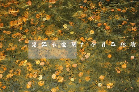 贷记卡逾期7个月已结清 贷记卡逾期7个月已结清