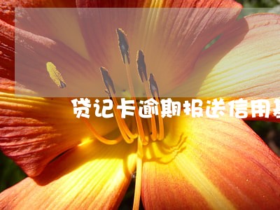 贷记卡逾期报送信用基础数据库 贷记卡逾期报送信用基础数据库