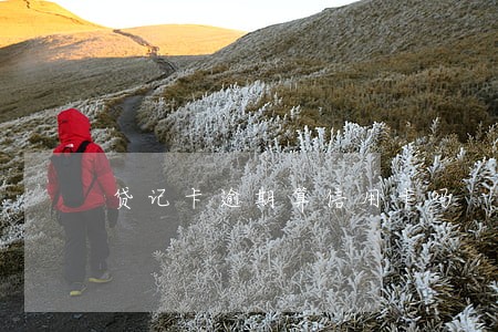 贷记卡逾期算信用卡吗 贷记卡逾期算信用卡吗