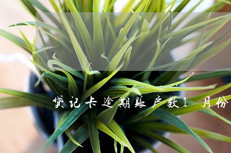 贷记卡逾期账户数1月份数5 贷记卡逾期账户数1月份数5