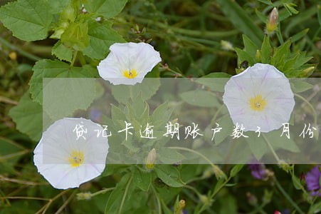 贷记卡逾期账户数3月份数4 贷记卡逾期账户数3月份数4