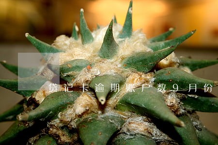 贷记卡逾期账户数9月份10 贷记卡逾期账户数9月份10