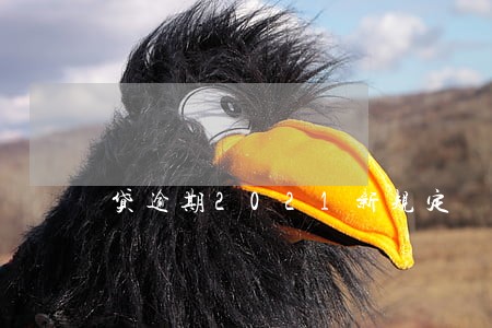 贷逾期2021新规定 贷逾期2021新规定