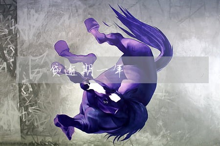 贷逾期一年
