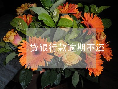 贷银行款逾期不还 贷银行款逾期不还