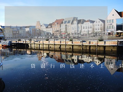 贷银行的钱还不上能只还本金吗 贷银行的钱还不上能只还本金吗