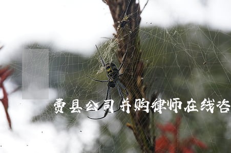 费县公司并购律师在线咨询 费县公司并购律师在线咨询