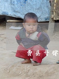 费县寻律师 费县寻律师