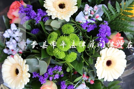 费县常年法律顾问律师在线咨询 费县常年法律顾问律师在线咨询