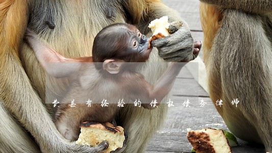 费县有经验的债权债务律师 费县有经验的债权债务律师
