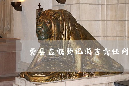费县虚假登记损害责任纠纷律师六