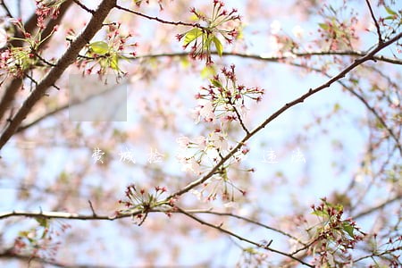 费城捡到物品违法 费城捡到物品违法