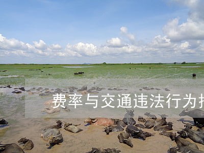 费率与交通违法行为挂钩 费率与交通违法行为挂钩