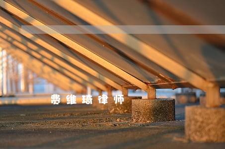 费维琦律师 费维琦律师