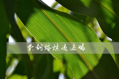 费铜熔炼违法吗 费铜熔炼违法吗