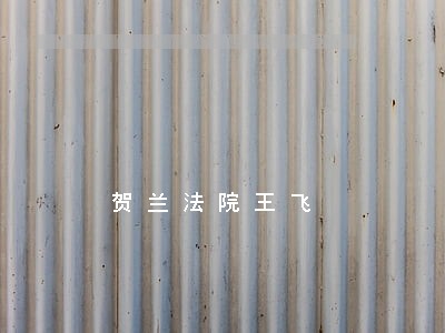 贺兰法院王飞 贺兰法院王飞