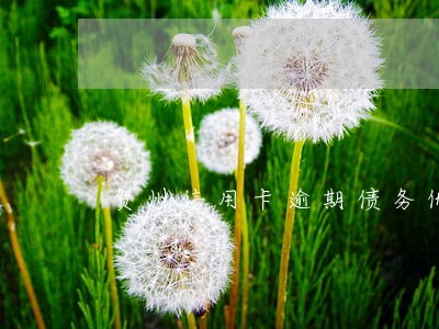 贺州信用卡逾期债务优化怎么收费 贺州信用卡逾期债务优化怎么收费