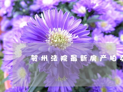 贺州法院最新房产拍卖