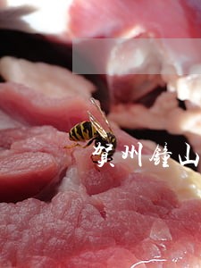 贺州钟山法律援助对象 贺州钟山法律援助对象