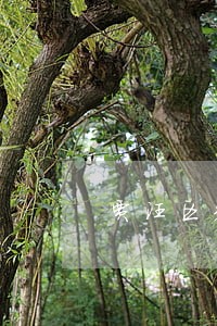 贾汪区知名非法拘禁诉讼律师 贾汪区知名非法拘禁诉讼律师